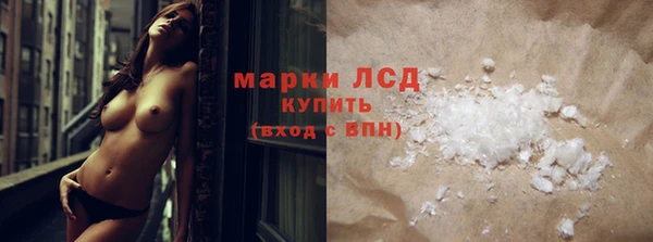 стаф Бородино