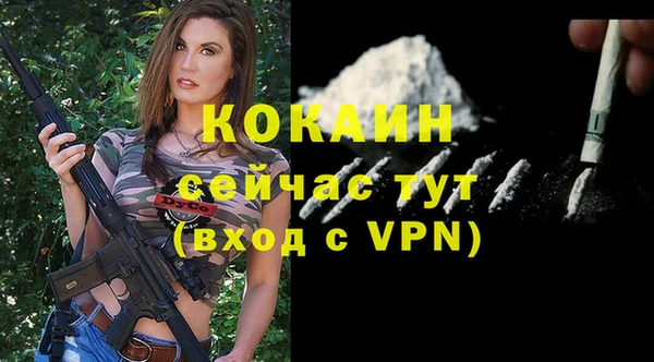 стаф Бородино