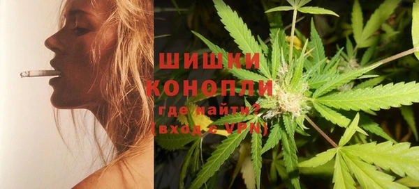 стаф Бородино