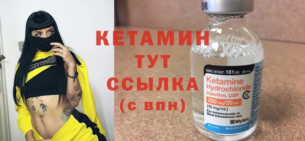 стаф Бородино