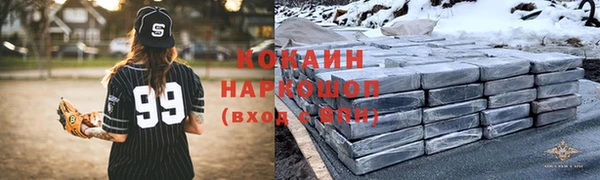 стаф Бородино