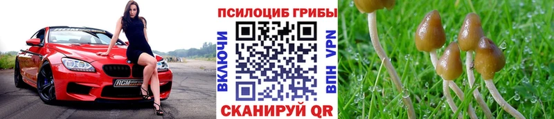 купить наркотик  Семёнов  Псилоцибиновые грибы GOLDEN TEACHER 